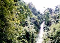 田林岑王老山景区天气 田林岑王老山景区天气