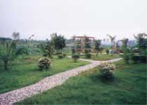 田东十里莲塘天气 田东十里莲塘天气