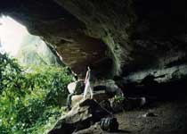 藤县小娘山天气 藤县小娘山天气