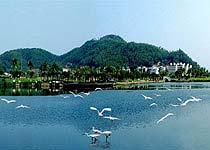 三亚白鹭公园天气 三亚白鹭公园天气