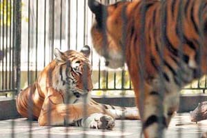 广州动物园天气 广州动物园天气