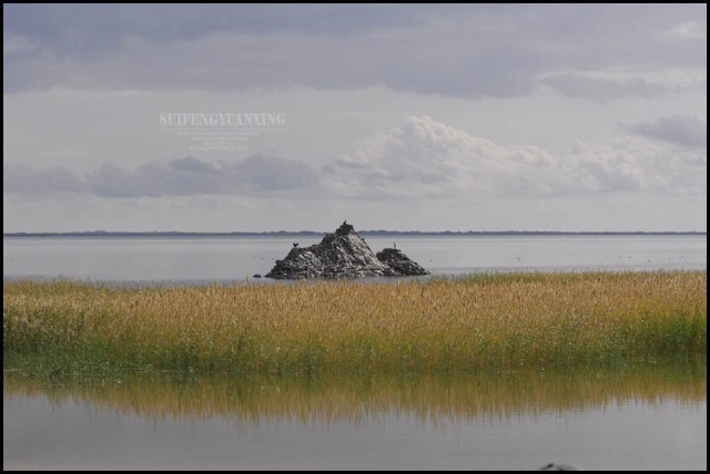 额济纳旗居延海天气 额济纳旗居延海天气