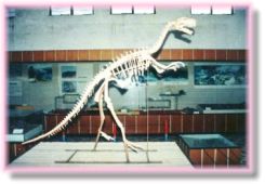 韶关恐龙博物馆天气 韶关恐龙博物馆天气