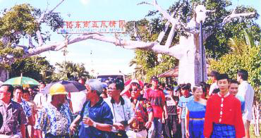 江门海侨东南亚风情园天气 江门海侨东南亚风情园天气