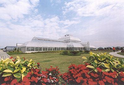 新会现代农业基地天气 新会现代农业基地天气