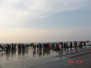 吴川吴阳金海岸天气 吴川吴阳金海岸天气