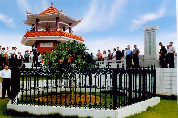 高州根子荔枝文化旅游区天气 高州根子荔枝文化旅游区天气