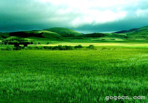 呼和浩特葛根塔拉草原天气 呼和浩特葛根塔拉草原天气