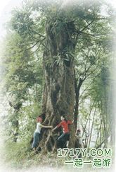 汕尾祠堂山山野公园天气 汕尾祠堂山山野公园天气