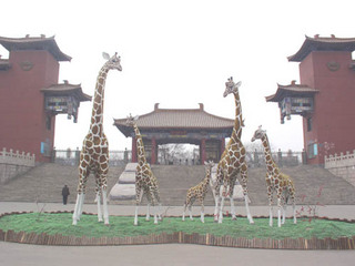 太原动物园天气 太原动物园天气