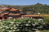 临汾古县三和牡丹景区天气 临汾古县三和牡丹景区天气