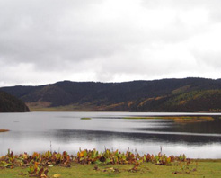 运城天鹅自然保护区天气 运城天鹅自然保护区天气