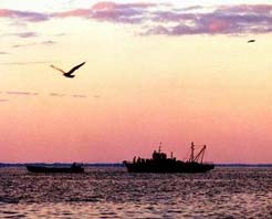 赤峰达来诺尔天气