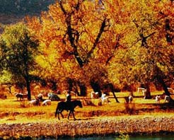 兴安盟科尔沁珍禽自然保护区天气 兴安盟科尔沁珍禽自然保护区天气