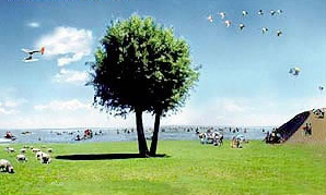 鄂尔多斯红碱淖天气 鄂尔多斯红碱淖天气