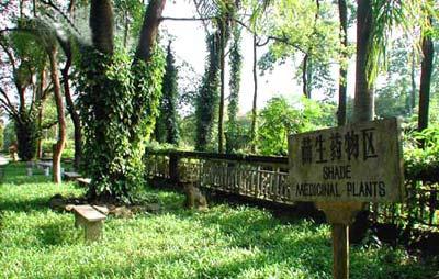 广西药用植物园天气 广西药用植物园天气