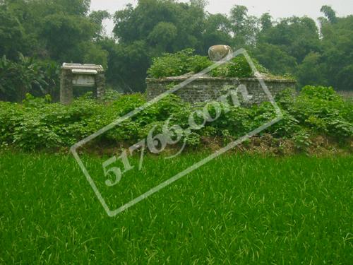 柳州刘贲墓天气 柳州刘贲墓天气