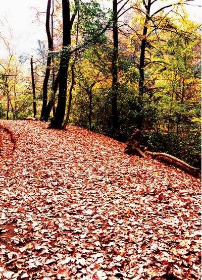 桂林漓江古东天气 桂林漓江古东天气