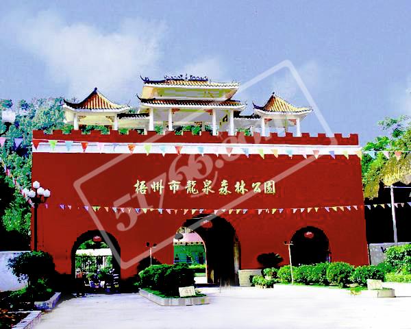 梧州龙泉森林公园天气 梧州龙泉森林公园天气