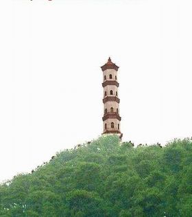 梧州炳蔚塔天气 梧州炳蔚塔天气