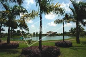 北海田野农业生态旅游观光园天气 北海田野农业生态旅游观光园天气