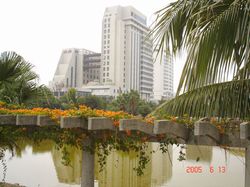 北海长青公园天气 北海长青公园天气