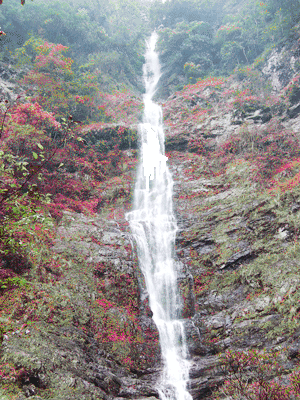 防城港神马水瀑布(马射尿瀑布)天气 防城港神马水瀑布(马射尿瀑布)天气
