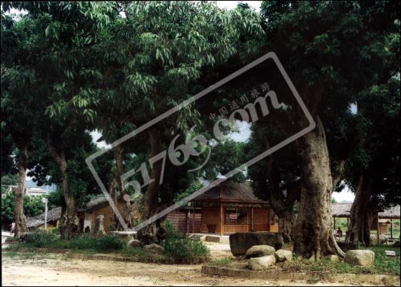 北流罗政村天气 北流罗政村天气