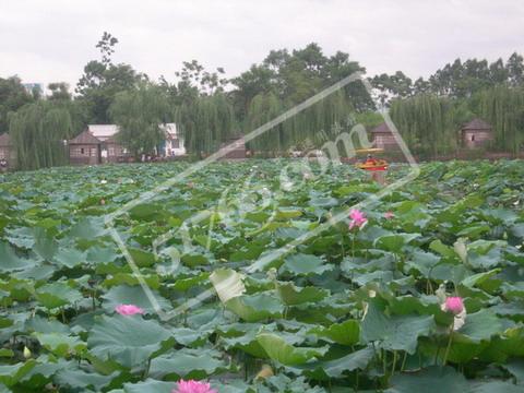 百色横山古寨天气 百色横山古寨天气