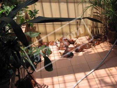 钦州龟王城天气 钦州龟王城天气