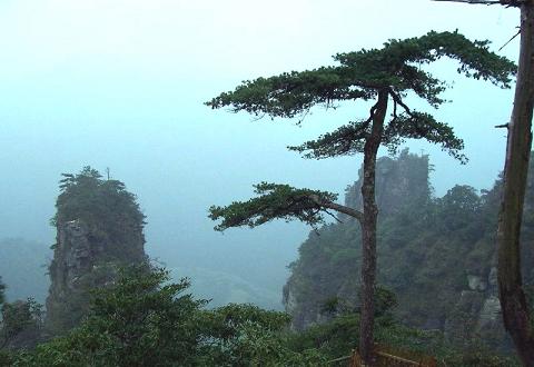 来宾莲花山天气 来宾莲花山天气