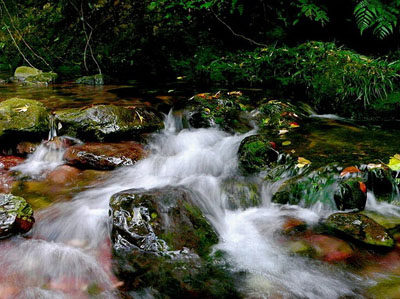 来宾百崖大峡谷天气 来宾百崖大峡谷天气