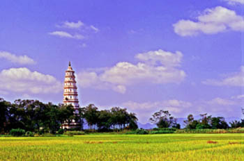 桂平东塔天气 桂平东塔天气