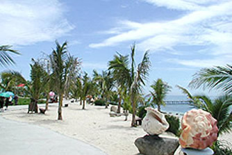 三亚东西玳瑁洲天气 三亚东西玳瑁洲天气