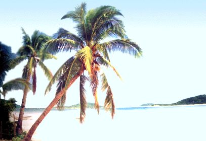 三亚热带海滨天气 三亚热带海滨天气