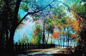 桂林月光岛天气 桂林月光岛天气