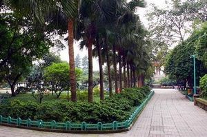 重庆枇杷山公园天气 重庆枇杷山公园天气