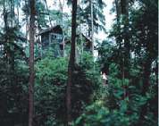 重庆歌乐山天气 重庆歌乐山天气