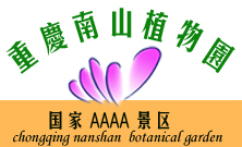 重庆南山植物园天气 重庆南山植物园天气