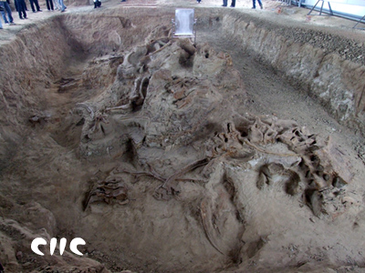 北碚恐龙化石遗址天气 北碚恐龙化石遗址天气