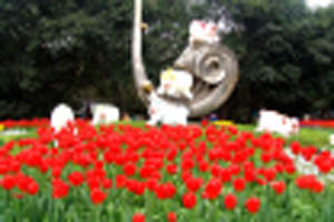 重庆花卉园天气 重庆花卉园天气