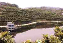 渝北区鹿山观光农业示范村天气 渝北区鹿山观光农业示范村天气