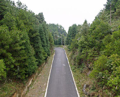 万州大垭口森林公园天气 万州大垭口森林公园天气