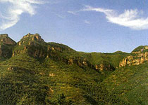 武汉九峰国家森林公园天气 武汉九峰国家森林公园天气