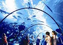 武汉东湖海洋世界天气 武汉东湖海洋世界天气