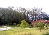 保康官山森林公园天气 保康官山森林公园天气