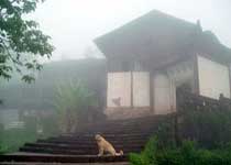 利川大水井建筑群天气 利川大水井建筑群天气