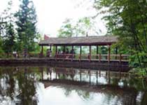 利川甘溪山天气 利川甘溪山天气