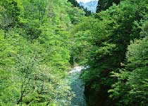 宜都宋山森林公园天气 宜都宋山森林公园天气