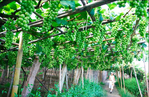 潼南东升茶山农业观光园天气 潼南东升茶山农业观光园天气